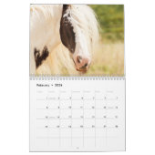 Paardenfotokalender 2026 Mooie muurkalender Kalender (Feb 2026)