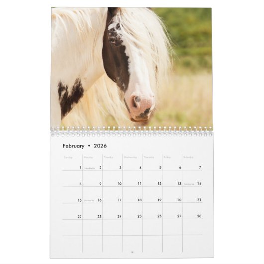 Paardenfotokalender 2026 Mooie muurkalender Kalender (Feb 2026)