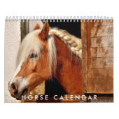 Paardenfotokalender 2026 Mooie muurkalender Kalender (Hoes)