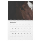 Paardenfotokalender 2026 Mooie muurkalender Kalender (Jan 2026)