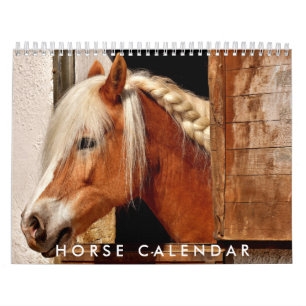 Paardenfotokalender 2026 Mooie muurkalender Kalender