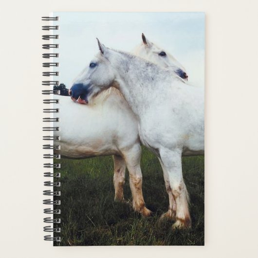 Paardenfoto's van paardenpels die elkaar kweken planner (Voorkant)