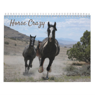 Paardenfoto's voor paardenovers kalender