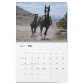 Paardenfoto's voor paardenovers kalender (Mar 2026)