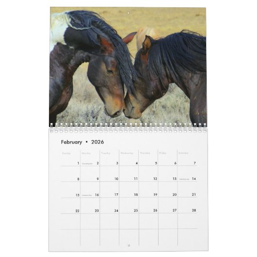 Paardenfoto's voor paardenovers kalender (Feb 2026)
