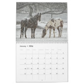 Paardenfoto's voor paardenovers kalender (Jan 2026)