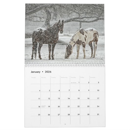Paardenfoto's voor paardenovers kalender (Jan 2026)
