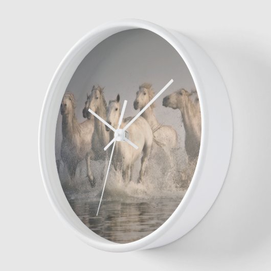 Paardengaloping in het Middellandse-Zeegebied (Hoek)