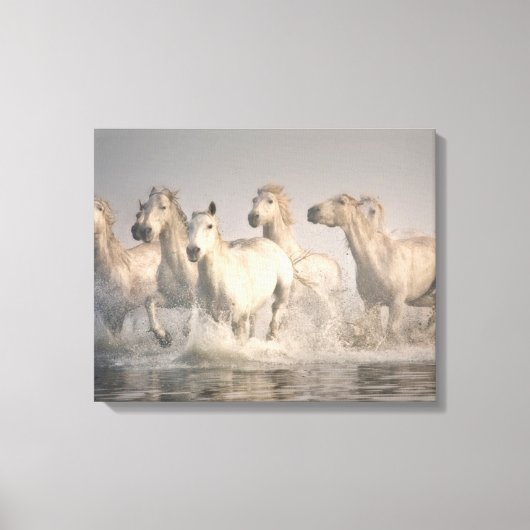 Paardengaloping in het Middellandse-Zeegebied Canvas Afdruk (Voorkant)