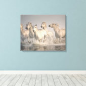 Paardengaloping in het Middellandse-Zeegebied Canvas Afdruk (Insitu (Houten vloer))