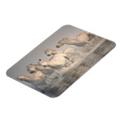 Paardengaloping in het Middellandse-Zeegebied Magneet (Linkerzijde)