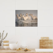Paardengaloping in het Middellandse-Zeegebied Poster (Keuken)
