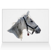 Paardengaloping in sneeuw (Binnen Horizontaal (Boven))