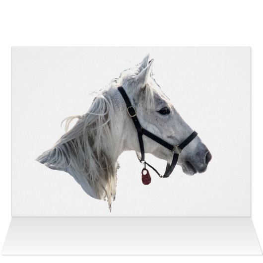 Paardengaloping in sneeuw (Binnen Horizontaal (Boven))