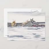 Paardengaloping in sneeuw briefkaart (Voorkant / Achterkant)