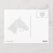 Paardengaloping in sneeuw briefkaart (Achterkant)