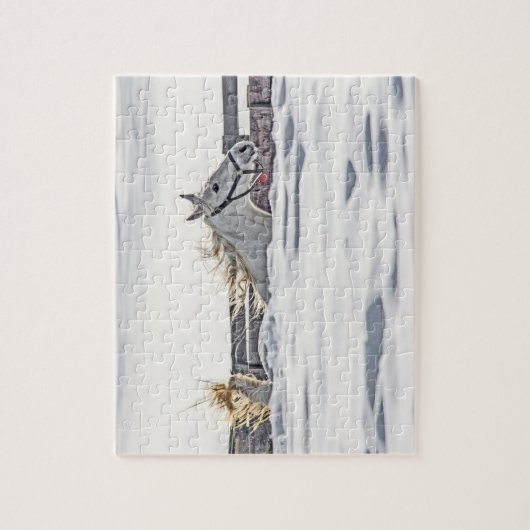 Paardengaloping in sneeuw legpuzzel (Verticaal)