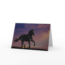 Paardengaloppeling gratis