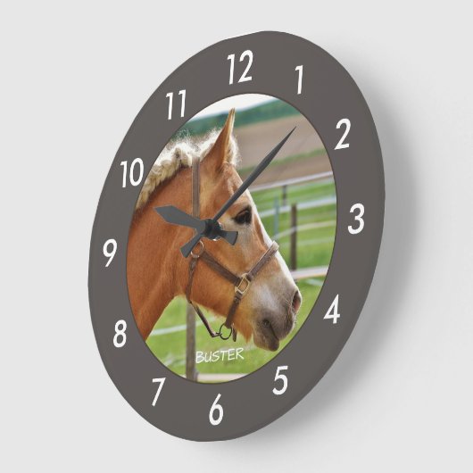 Paardengepersonaliseerde grote klok (Hoek)