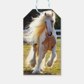 Paardengeschenk label cadeaulabel