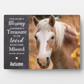 Paardengeschenk Paard Memorial Fotoplaat (voorkant)