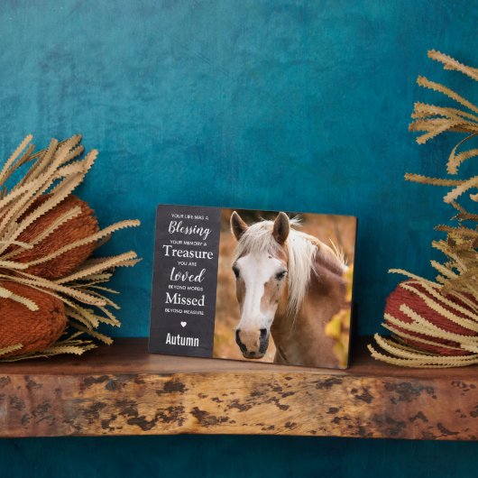 Paardengeschenk Paard Monument Fotoplaat (Zijkant)