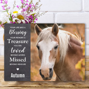 Paardengeschenk Paardengeheugen Fotoplaat