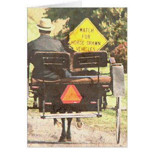 Paardengetrokken voertuigen, Amish Horse en Buggy 