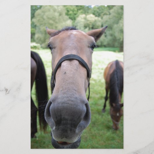 Paardengezicht Briefpapier (Voorkant)