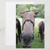 Paardengezicht Briefpapier (Voorkant / Achterkant)