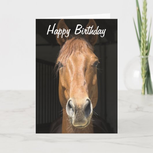 Paardengezicht foto Happy Birthday Kaart (Voorkant)