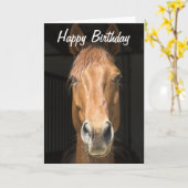 Paardengezicht foto Happy Birthday Kaart (Gele Bloem)