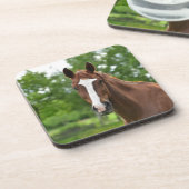 Paardengezicht met markering drankjes onderzetter (Linkerzijde)