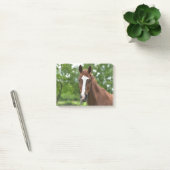Paardengezicht met markering post-it® notes (Kantoor)