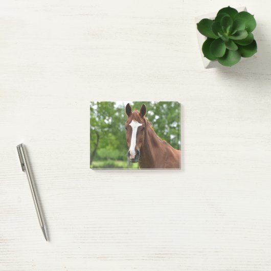 Paardengezicht met markering post-it® notes (Kantoor)