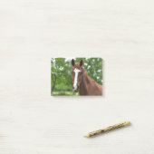 Paardengezicht met markering post-it® notes (Op bureau)