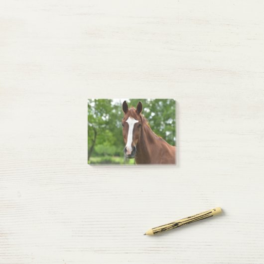 Paardengezicht met markering post-it® notes (Op bureau)