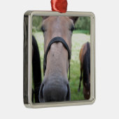 Paardengezicht Metalen Ornament (Rechts)