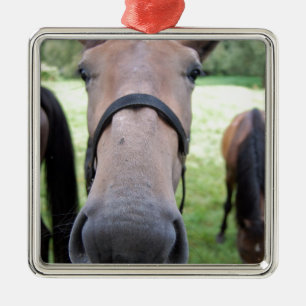Paardengezicht Metalen Ornament