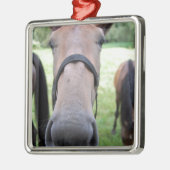 Paardengezicht Metalen Ornament (Links)