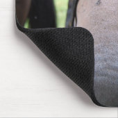 Paardengezicht Muismat (Hoek)