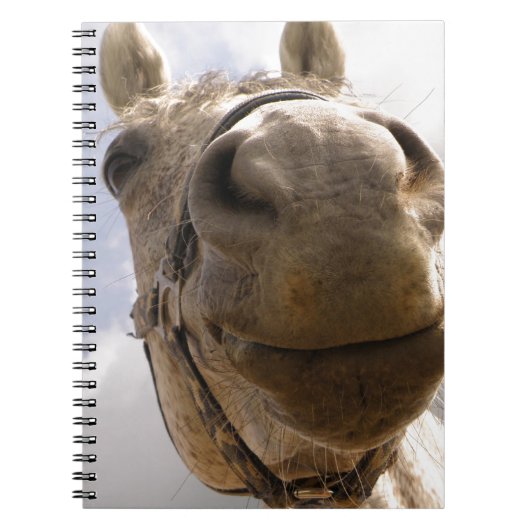 Paardengezicht Notitieboek (Voorkant)