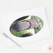 Paardengezicht Ovale Sticker (Envelop)