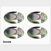 Paardengezicht Ovale Sticker (Vel)