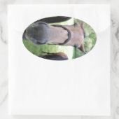 Paardengezicht Ovale Sticker (Tas)