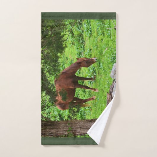 Paardengrazing Bad Handdoek (Handdoek)