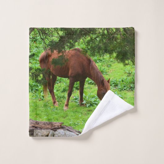 Paardengrazing Bad Handdoek (Wasdoekje)