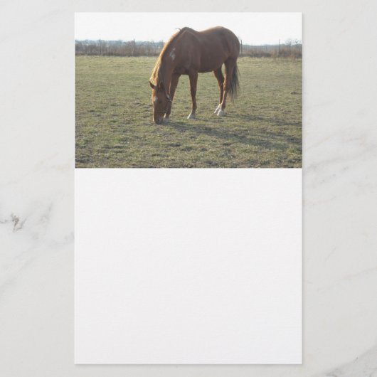 Paardengrazing Briefpapier (Voorkant)