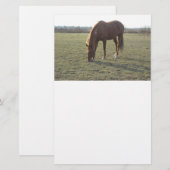 Paardengrazing Briefpapier (Voorkant / Achterkant)