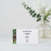 Paardengrazing in het grasland visitekaartje (Staand voorkant)